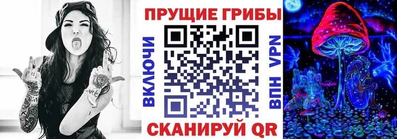 Галлюциногенные грибы Cubensis  цена   Белоярский 
